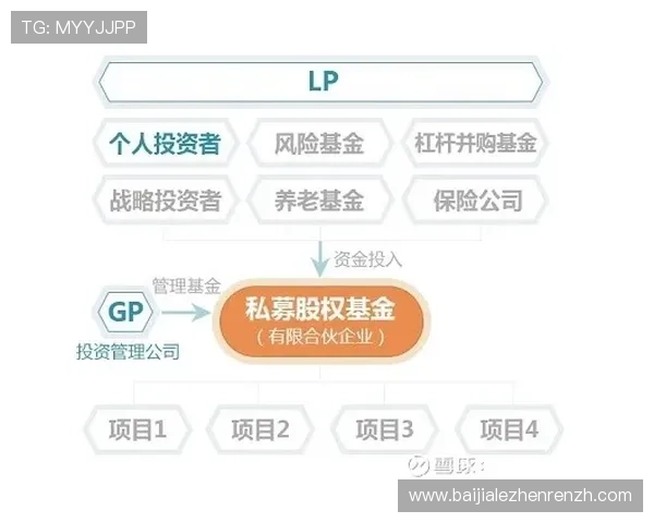 如何在MG真人平台中实现稳定盈利，实用技巧与经验分享帮助玩家提升收益
